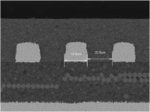 MSAP�u���ν�Q��