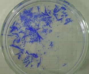 mSAP�o�C(j��)ȥĤˎˮ